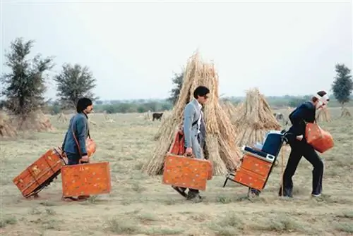 Посещение странного, прекрасного мира Уэса Андерсона