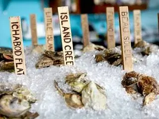 На изображении может находиться еда животное морская жизнь беспозвоночные ракушка и устрица