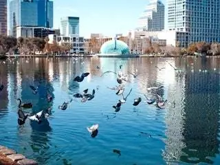 На изображении может находиться животное птица вода город городское здание городская архитектура и купол