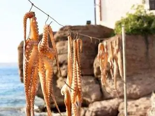 Это изображение может содержать животных и морских обитателей.