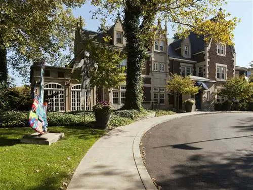 Изображение может содержать асфальтобетонное дерево, завод по производству асфальта, плитняк на открытом воздухе и дорожка