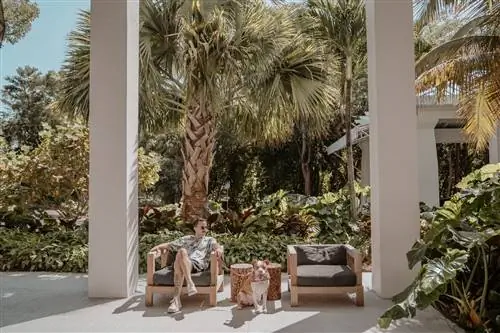 собака. Гостиница. деревья. солнце