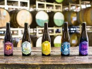 На изображении может находиться пить пиво, алкоголь, бутылка для напитков и бутылка пива