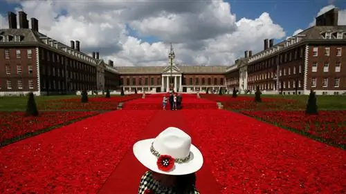 Поле из 300 000 связанных крючком маков на цветочной выставке в Челси