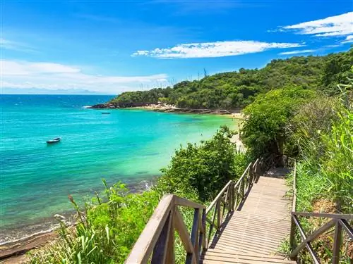 На изображении может находиться на улице здание Дощатый настил мост природа земля вода перила океан и море