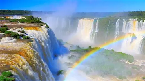 Не возвращайтесь домой после Олимпиады в Рио