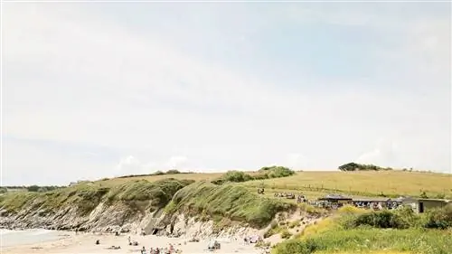 Чем заняться на полуострове Роузленд, лучшем пляже Англии