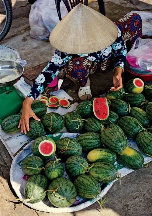 На изображении может находиться растение фрукт еда арбуз человек и человек