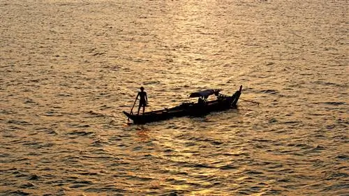 Почему дельта Меконга в Юго-Восточной Азии должна стать вашим следующим пунктом назначения в круизе
