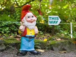 На изображении может находиться фигурка игрушки и растения
