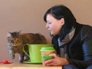 На изображении может находиться человек человек животное млекопитающее домашнее животное кошка кофейная чашка и чашка