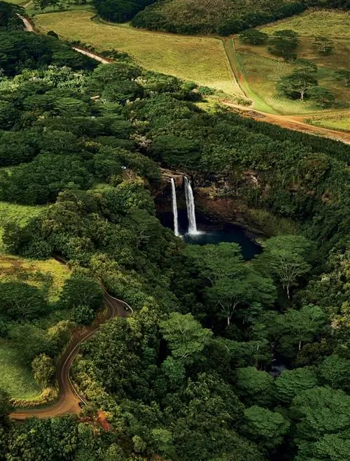 На изображении может находиться природа на улице вода пейзаж реки растительность дерево земля тропический лес и ландшафт