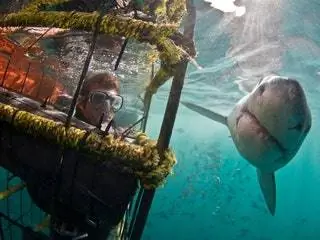 Это изображение может содержать Вода Человек Человек На открытом воздухе Спорт Спорт Дайвинг Дайвер и Природа