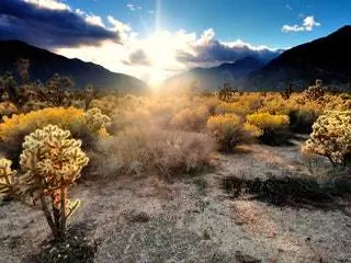 На изображении может находиться природа на улице Wilderness Light Flare Mountain Mountain Range Gravel Road Dirt Road and Ground