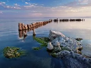 На изображении может находиться растение Waterfront Dock Port Pier и водоросли