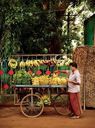 Это изображение может содержать Человек Колесо Машина Растение Фрукты Еда Банан Автомобиль Транспорт Велосипед и Велосипед