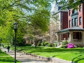 Это изображение может содержать растение трава человек газон и на открытом воздухе