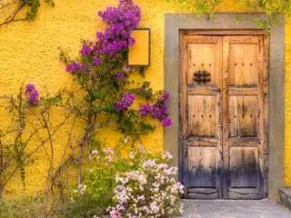 На изображении может находиться дверное растение, дорожка из плитняка, дорожка, цветок герани и цветок