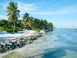 Это изображение может содержать Лето Тропики на открытом воздухе Природа и Земля