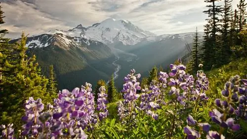 6 национальных парков, которые стоит посетить этим летом