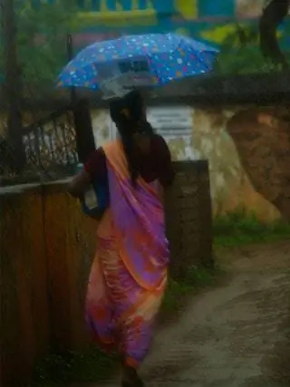 Это изображение может содержать Одежда Одежда Sari Silk Human and Person