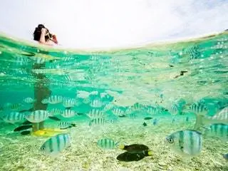 Это изображение может содержать Вода На открытом воздухе Природа Океан Море Животное Рыба Человек Черепаха Рептилия Морская Жизнь и Риф