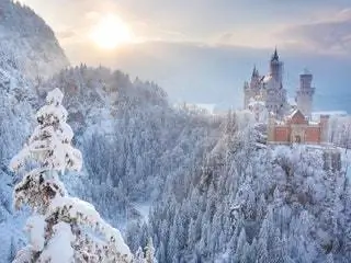На изображении может находиться природа на улице лед снег дерево растение архитектура шпиль здание башня шпиль ель и пихта