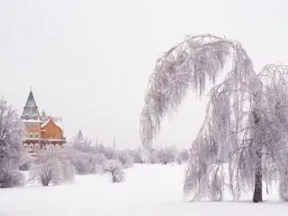 Это изображение может содержать растение Дерево Здания Архитектура Пихта Пихта Природа и на открытом воздухе