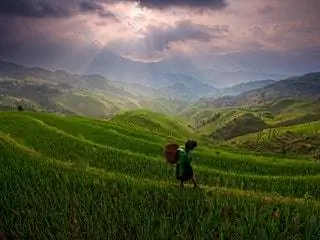 Это изображение может содержать Природа На открытом воздухе Пастбище Поле Сельская местность Рисовое поле Человек и пейзаж