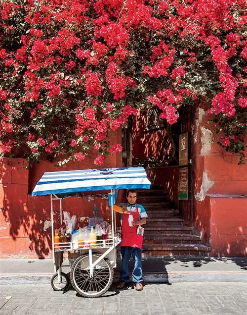 Это изображение может содержать человек человек сад беседка на открытом воздухе завод колесо машина транспорт транспорт и дерево