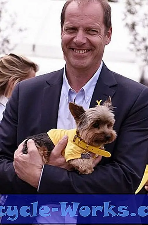 Image Image