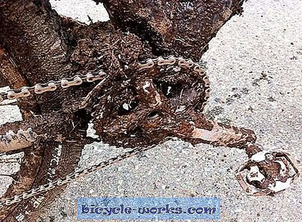 Image Image