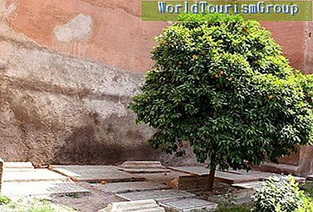 Image Image