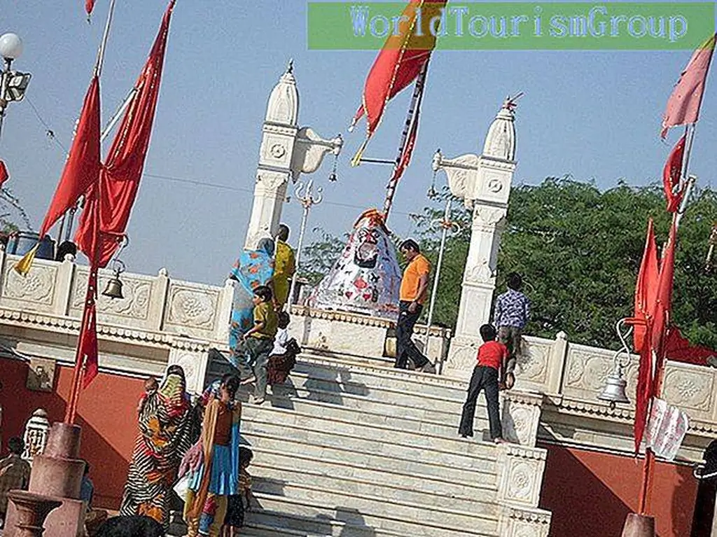 Image Image