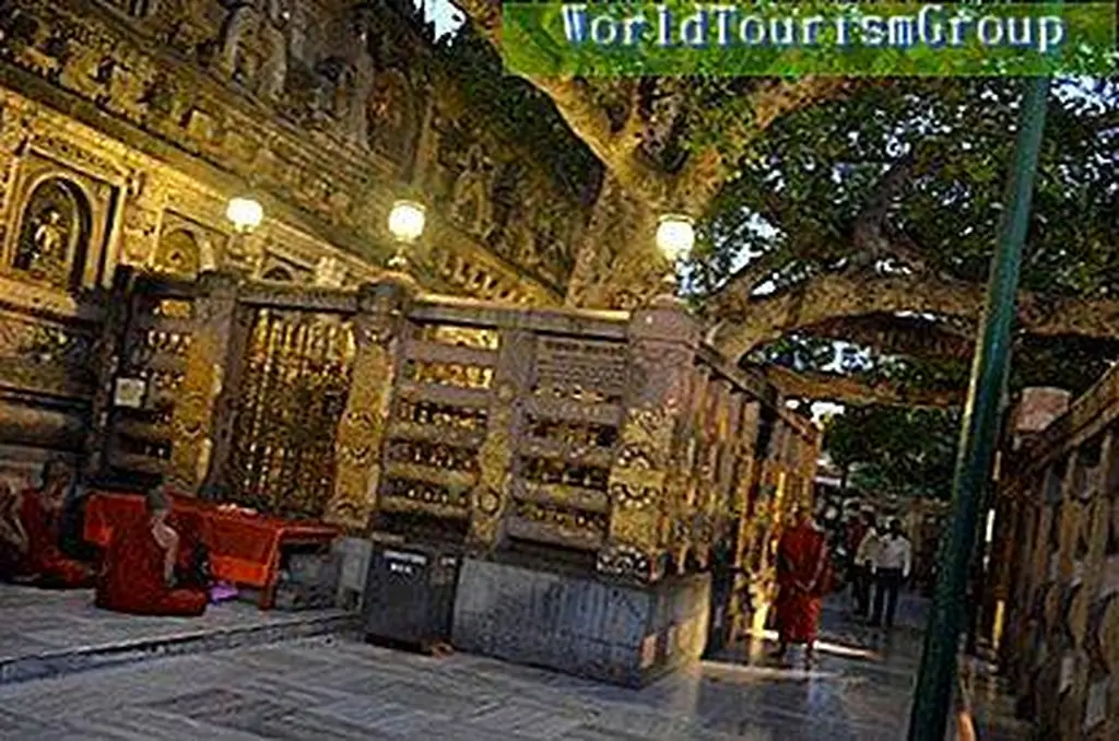 Image Image
