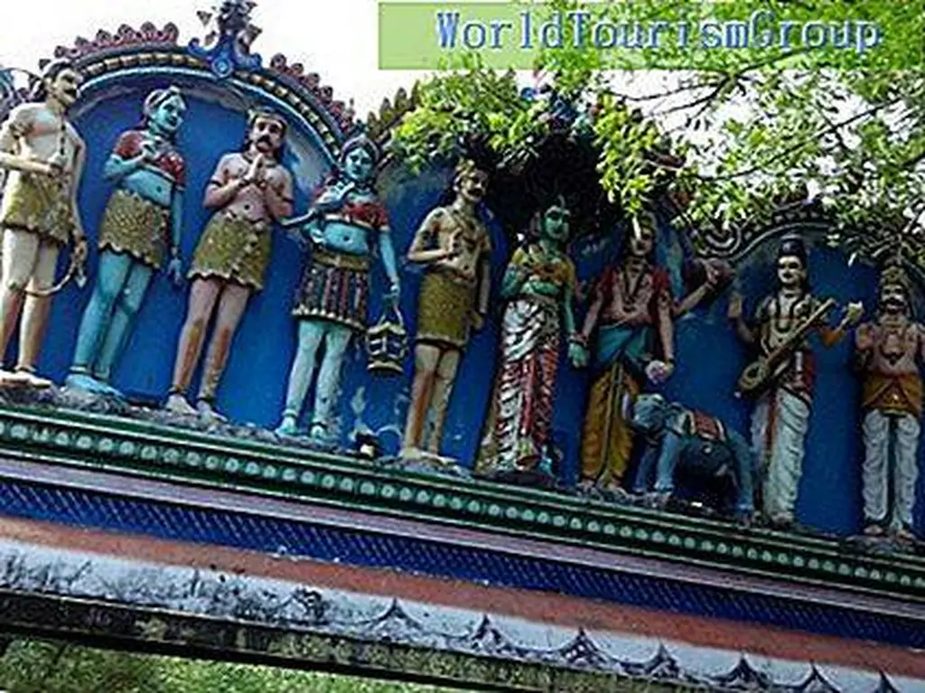 Image Image