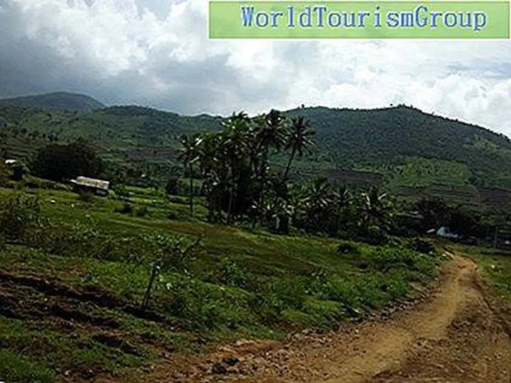 Image Image