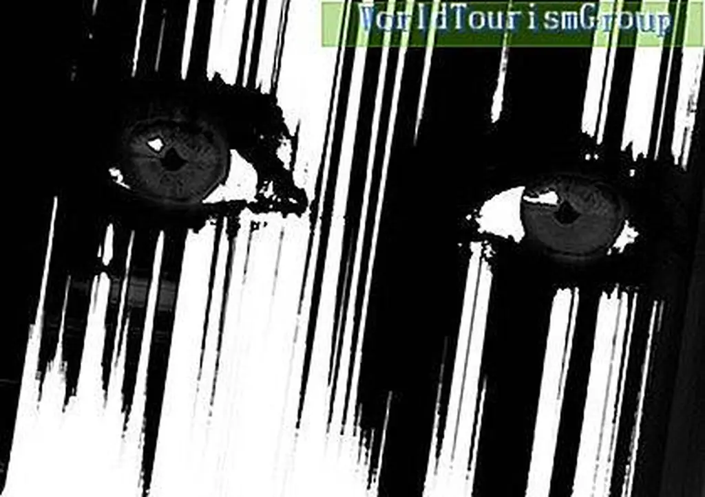 Image Image