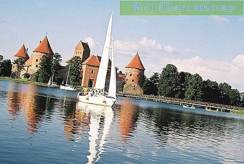 Image Image