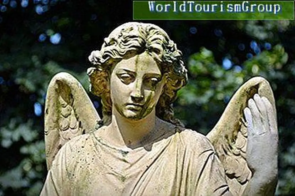 Image Image