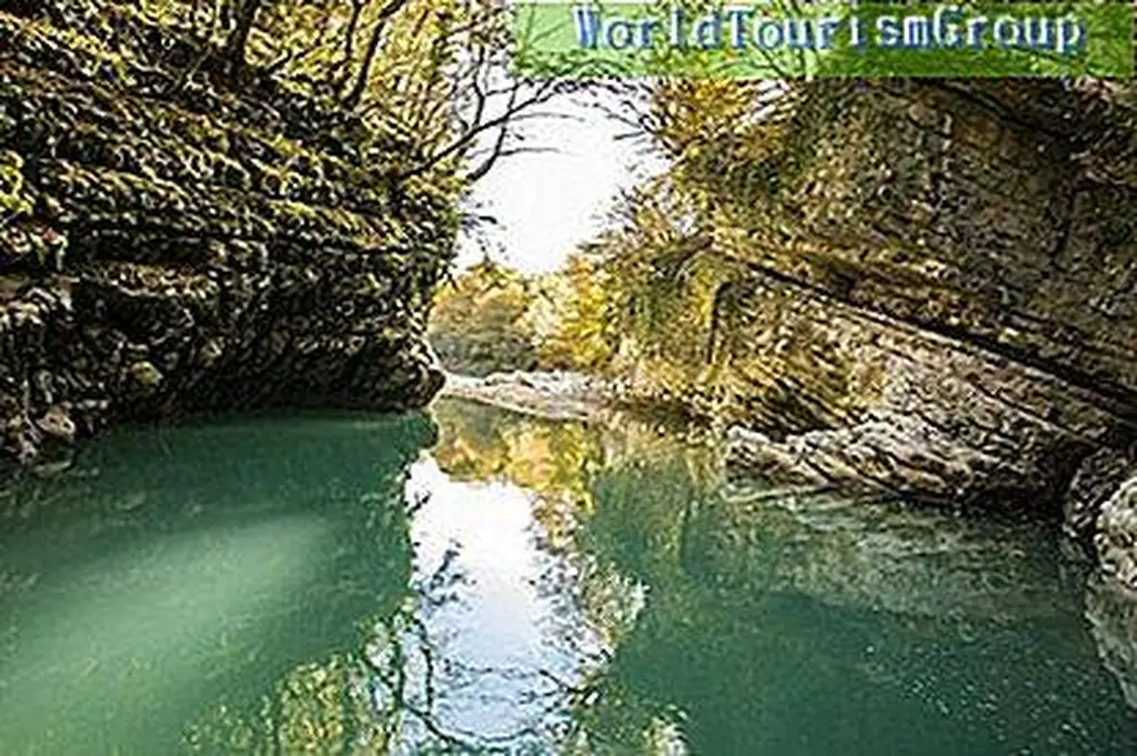 Image Image