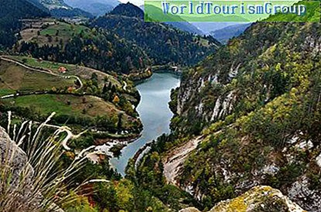 Image Image