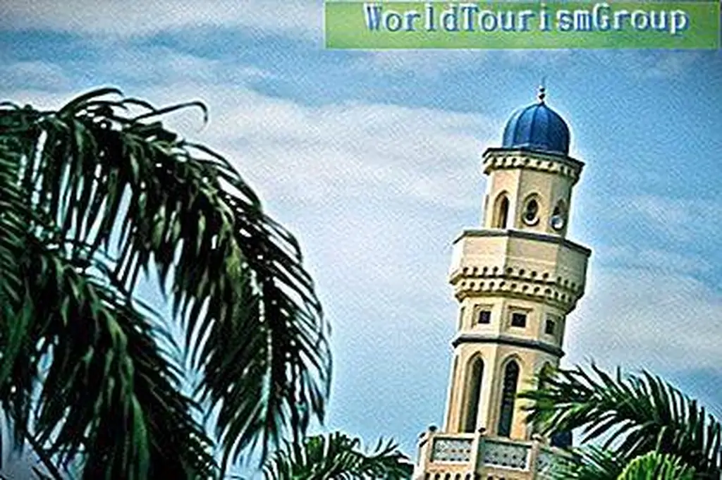 Image Image