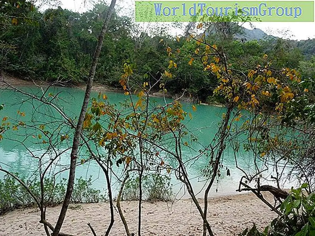 Image Image
