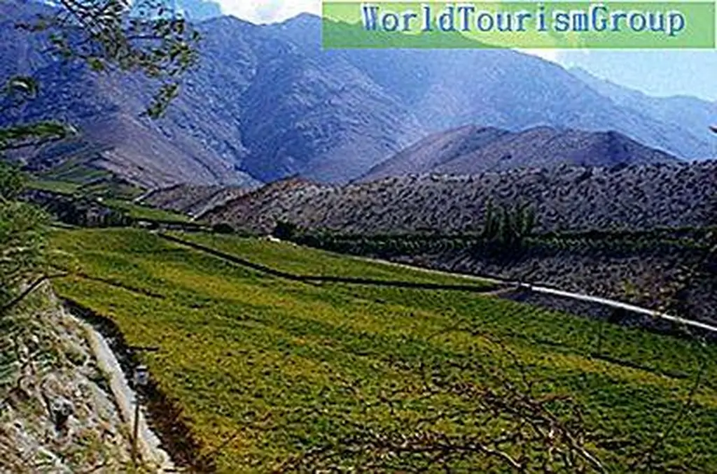 Image Image