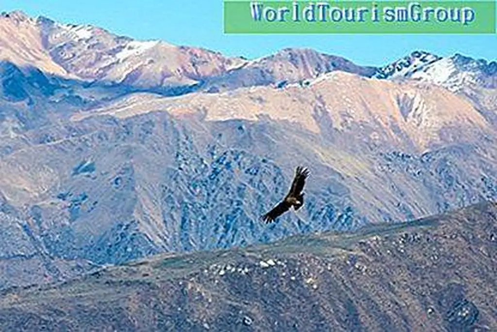 Шаг в сторону machu picchu: вот почему colca canyon - самое красивое ...