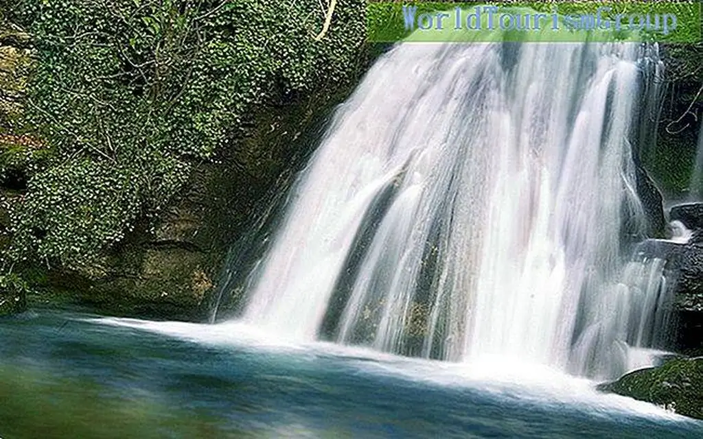 Image Image