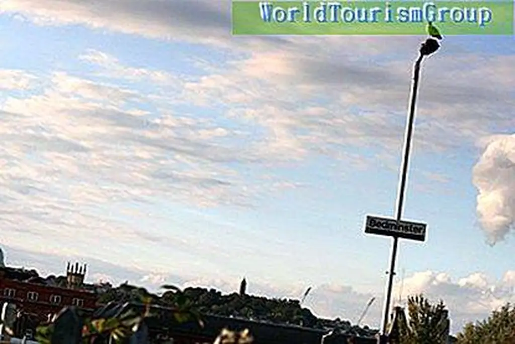 Image Image
