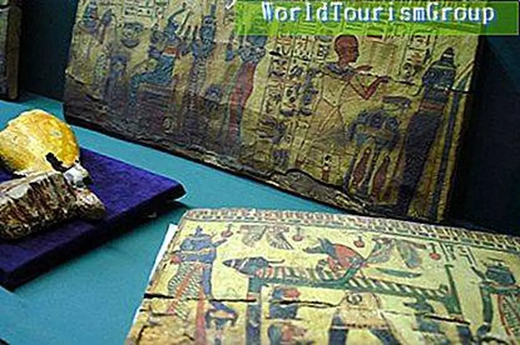 Image Image