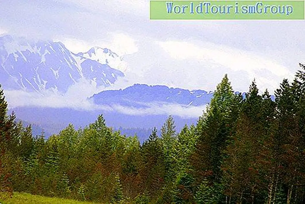 Image Image